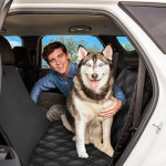 XL Dog Seat Covers | Full Car Protection - Image 6